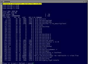 irixstat, an ncurses application showing off load, memory and processes